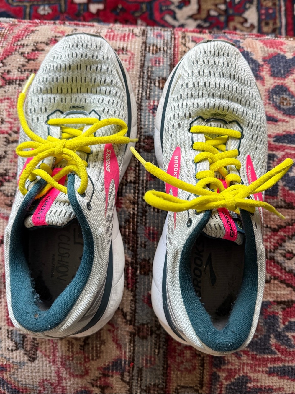 • Brooks Ghost 13 •